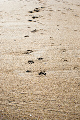 Footprints