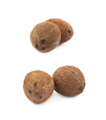 Couple of coconuts isolated