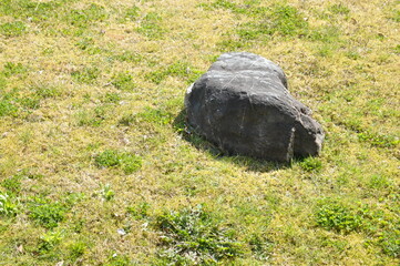 芝生　石　公園
