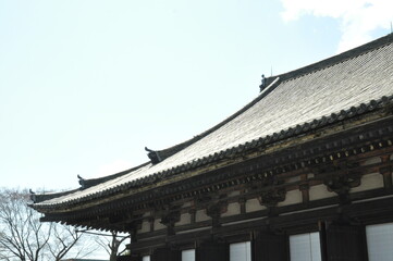 寺　神社　京都　苔　光　庭　日本庭園　