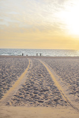 The evening beach near the sunset is a time when people like to go out to do various activities.