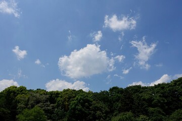 初夏の青空