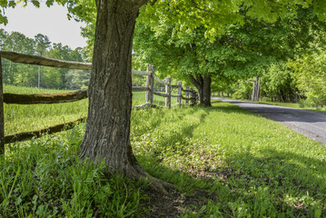 Fototapeta premium fence along the road