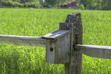 bluebird house on fence post