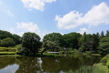 公園の池