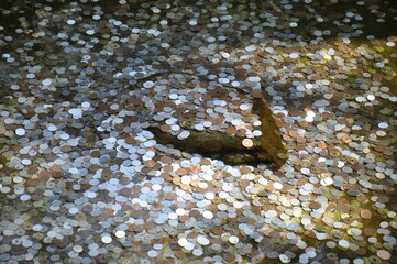 水面　波　模様　テクスチャ　反射　色とりどり　投げ銭　 賽銭　池