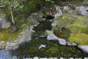 日本庭園　銀閣寺　池　苔　京都　日本　庭