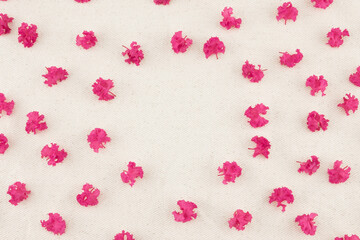 Pink crape myrtle petals pattern with round copy space in the center