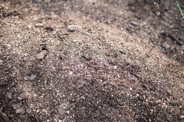 Vegetable field soil