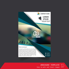 Brochure / Annual Report / Cover design vector