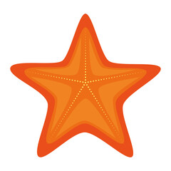 starfish summer isolated icon vector illustration design