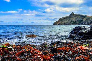 On the coast of the Black sea.