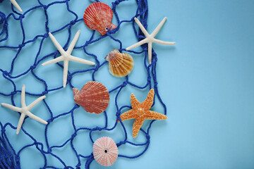 Summer blue background. Starfish, sea urchins, fishing net on a blue background. Summer  concept	