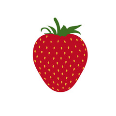 Beautiful red strawberry vector illustration. Strawberry fruit isolated. White background