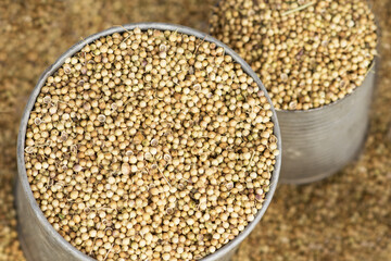 Coriander seeds in bowl