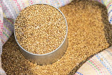 Coriander seeds in bowl