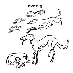 Hand Drawn Vector Dogs Set, Hunting Dogs. Ink Illustration.