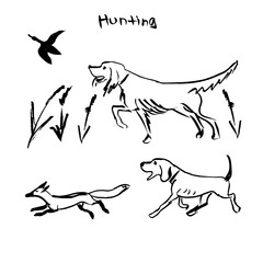 Hand Drawn Vector Dogs Set, Hunting Dogs. Ink Illustration. © TrishaMcmillan
