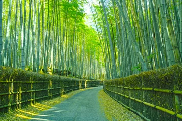 Papier Peint photo autocollant Kyoto Bambouseraie et chemin de Kyoto