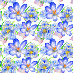 Fototapeta na wymiar Wildflower crocuses flower pattern in a watercolor style isolated.