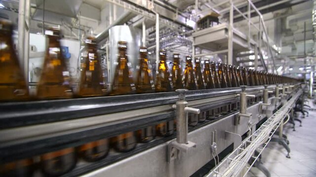 Bottles of beer go through the conveyor