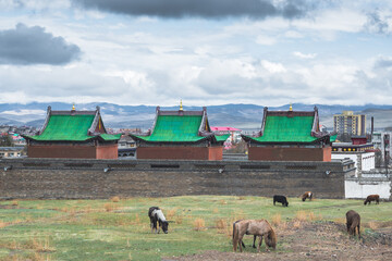 cows grazing near building Guden Sum with city landscape on background