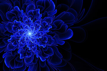 beautiful fractal black background with blue flower