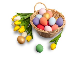 Easter egg and tulips on white background.