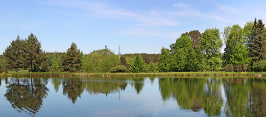 Panorama of the forest lake with trees