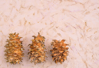 Pine cones on a textured background