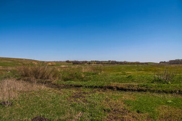 Fototapeta premium Ukrainian steppe in the spring