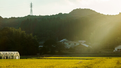 Sun setting over rice fields in rural Hasami, Japan.