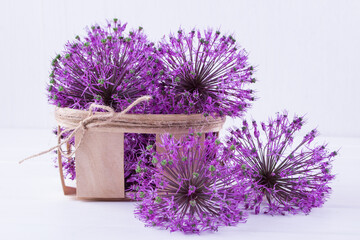 Allium flowers in a wooden basket on a white background - obrazy, fototapety, plakaty