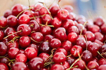 delicious, beautiful large cherry