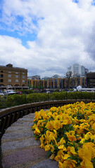 Photo of Saint Katharine's docks near Tower Bridge on a cloudy spring morning, London, United Kingdom