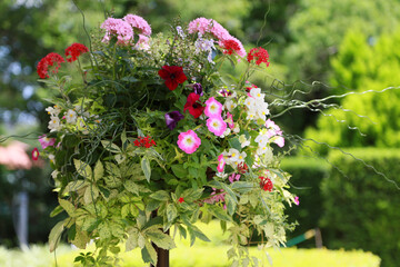 Naklejka premium Scenery of decorating flowers in the park