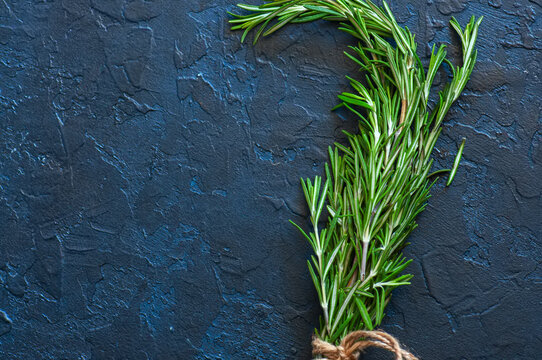 Close up of bunch of green fresh rosemary on a gray background. Copy space and top view.