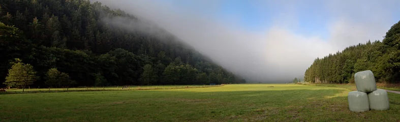 Foto auf Leinwand Misty landscape in the Eifel Germany. Fog. Panorama. Meadow. © A
