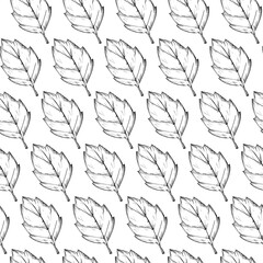Seamless Pattern Of Autumn Leaves Hand Drawn Sketch Outline