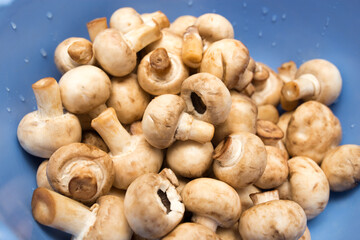 Clean fresh mushrooms in a blue cup