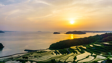 Rice paddy field with the sun setting in Japan.