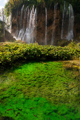 Waterfall and pond with fish in National Park Plitvice Lakes, Croatia, Europe