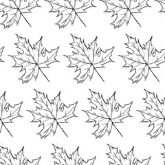 Seamless Pattern Of Palmate Maple Leaves Hand Drawn Sketch Outline