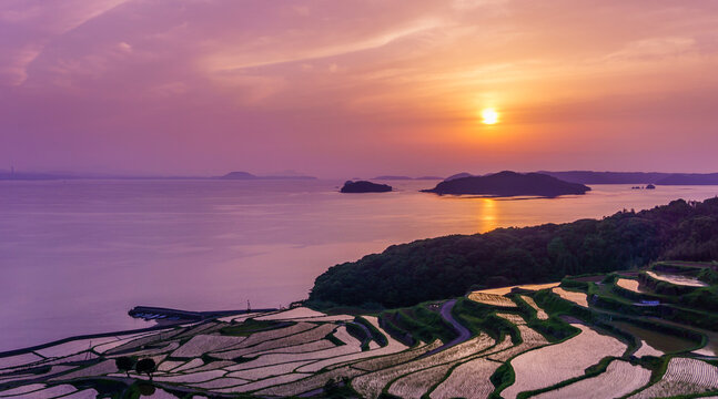 Beautiful Japanese sun set over a terraced rice field.