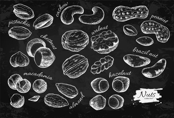 Nuts vector vintage illustration set. Hand drawn engraved objects on chalkboard background.