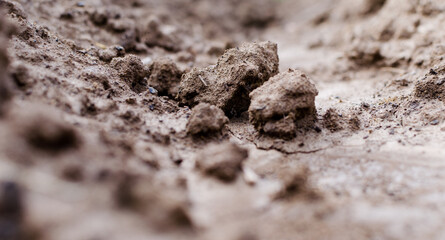 Agriculture. Photo of brown clay in the garden. Macro effect.