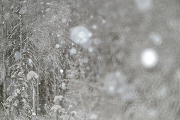 blurred background winter snow gloomy depression