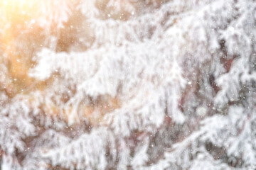 Blurred background defocus