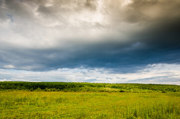 Very beautiful summer landscape. Tree in a field with dark clouds in the sky. Dramatic landscape.