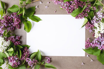 Spring flowers. Lilac flowers on white wooden background. Top view, flat lay